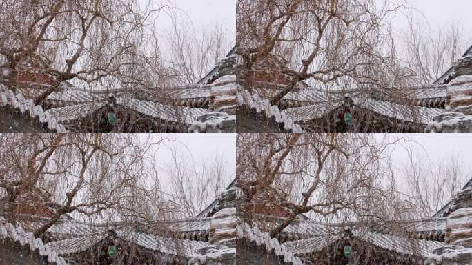 初雪飘落-古建园林枯树飘雪花