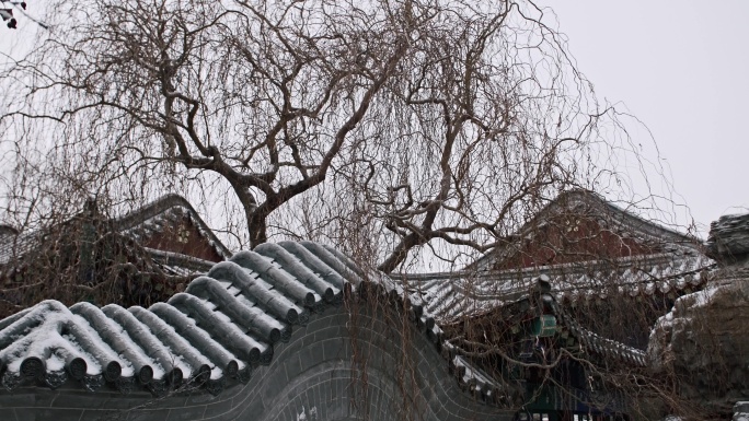 古建园林初雪-古风雪景