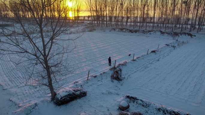 4K原创冬季雪后的农村日出雪景航拍