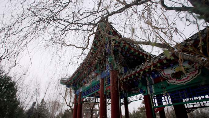 古建园林雪景雪花飘落