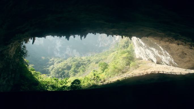 山洞出口 棕榈洞