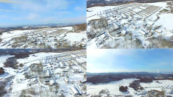 村庄雪景航拍小山村