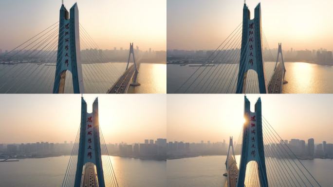【4K可商用】湛江市海湾大桥航拍5