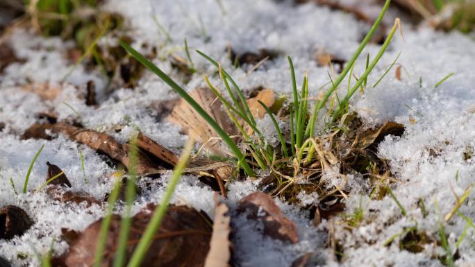 积雪融化