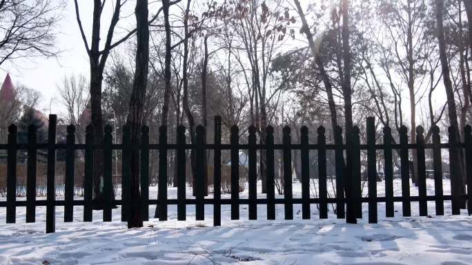 实拍4K冬天空境阳光树林围栏篱笆