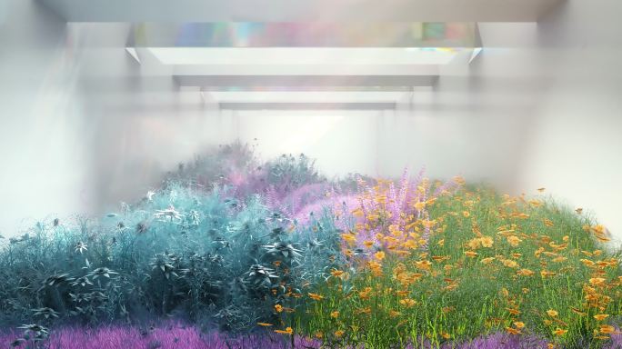 【裸眼3D】草坪上花草植物生长循环视频