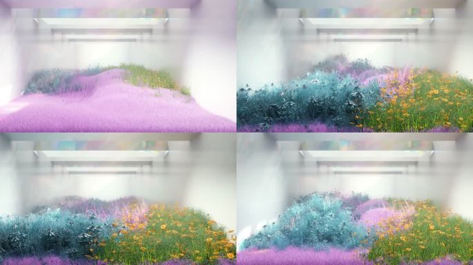【裸眼3D】草坪上花草植物生长循环视频