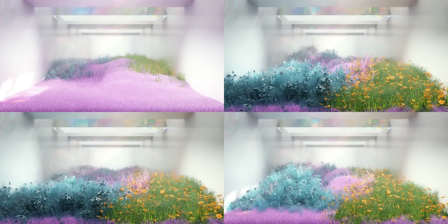 【裸眼3D】草坪上花草植物生长循环视频