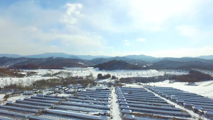 冬季蔬菜基地雪景航拍