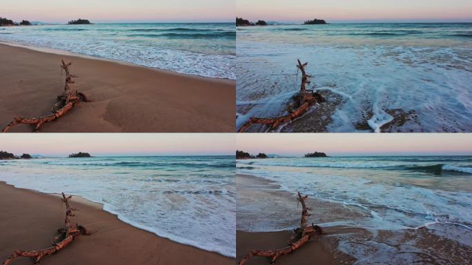 海边海岸枯树枯枝晚霞唯美