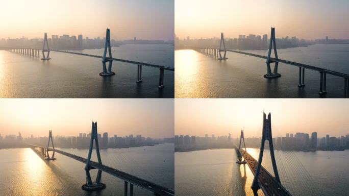 【4K可商用】湛江市海湾大桥航拍6