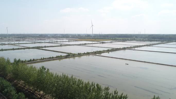 螃蟹养殖基地 水面航拍