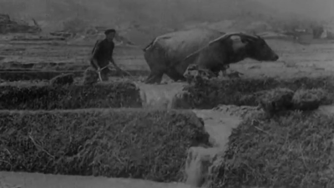 二十世纪初中国乡村劳动生活
