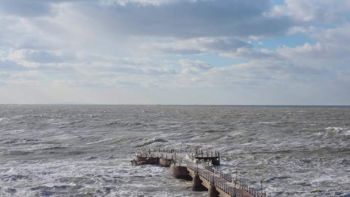 威海金海湾栈道狂风巨浪大海鸟群海鸥