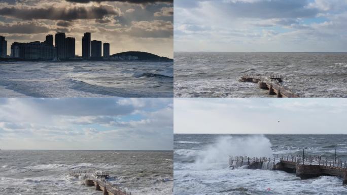 威海金海湾栈道狂风巨浪大海鸟群海鸥