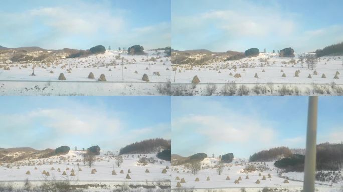 东北冬季的农田雪景