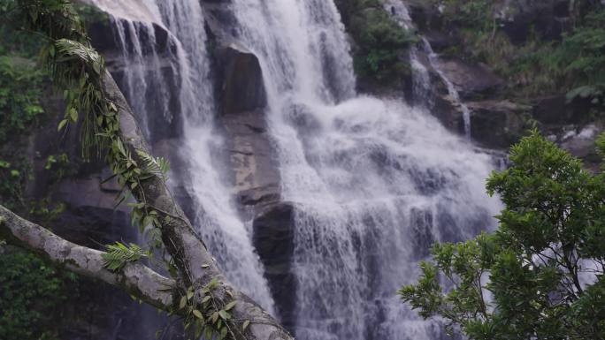 瀑布水流神秘的原始森林水资源绿色生命河流