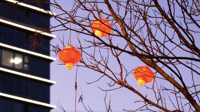 城市街道红灯笼夜景过年春节氛围迎新年