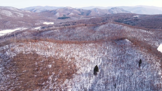 冬季山林