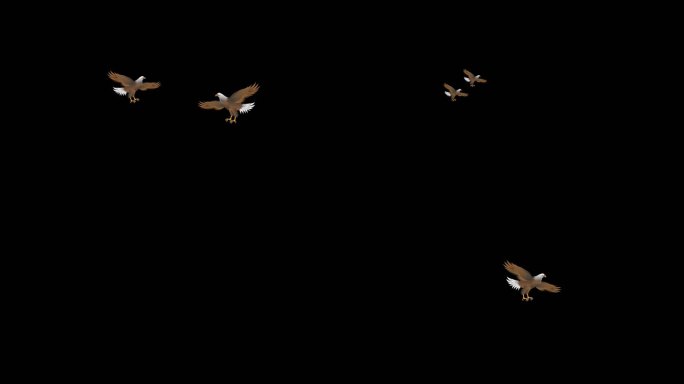 鹰飞行卡通带透明通道预览视频5个文件
