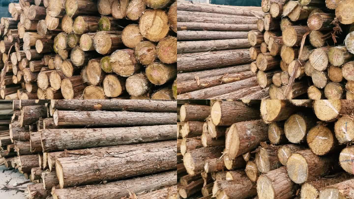 木头木材木桩视频素材