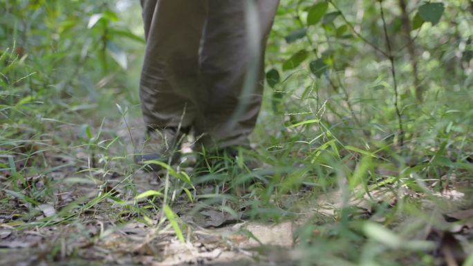 护林员巡山的脚步野外开荒走山路守山护