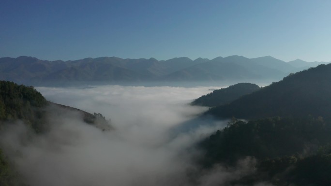 云南普洱茶山云海日出航拍