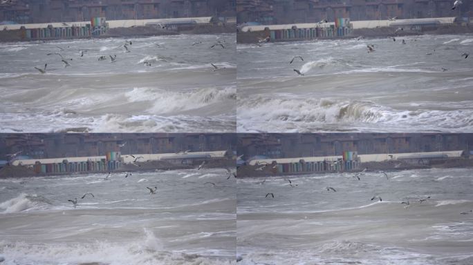 风大浪急的大海上迎风飞翔的海鸟海鸥慢镜头