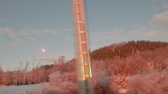 冬季东北旅游窗外林海雪原雪景