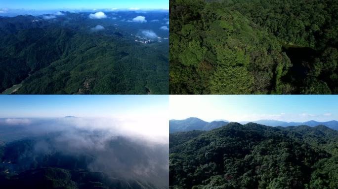 原始森林大山风景【4K航拍】