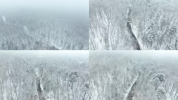 冬季原始森林 雪景