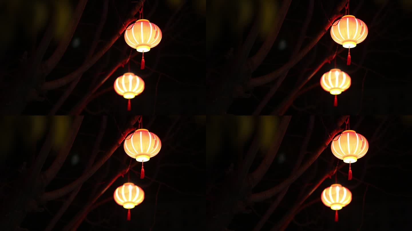 节日夜间红灯笼