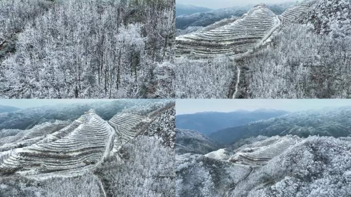 4K航拍 桂林资源梯田雪景