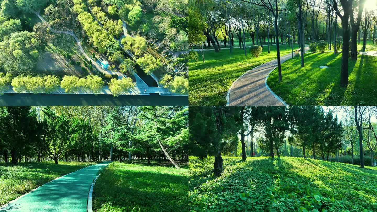【4K】城市河道景观森立覆盖公园视频