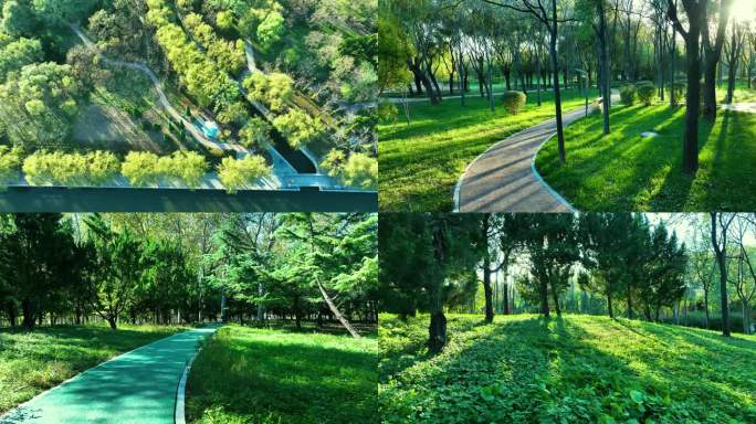 4K城市河道景观森立覆盖公园视频