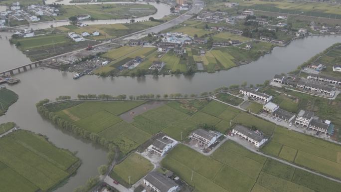 城市稻田航拍 4k 方田 水边田 灰度