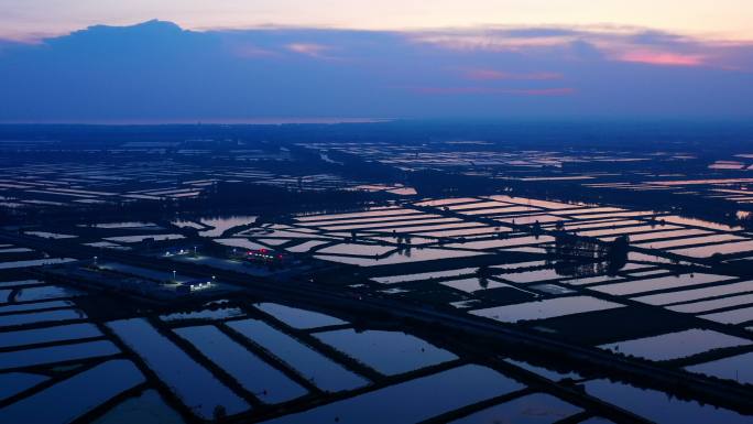 洪湖湿地