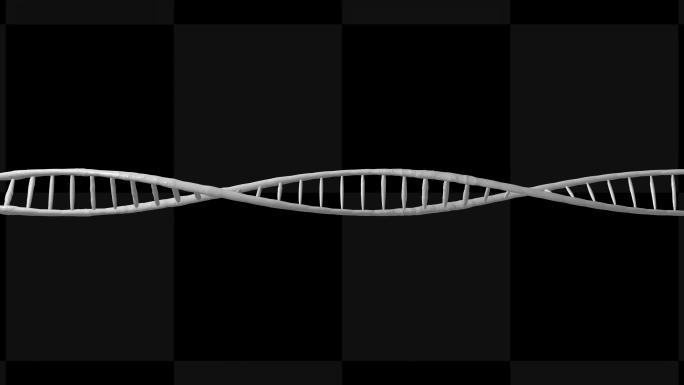 循环通道白模DNA【AE模板】