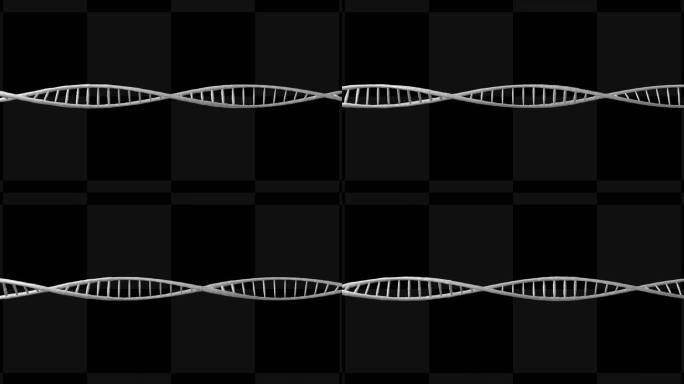 循环通道白模DNA【AE模板】