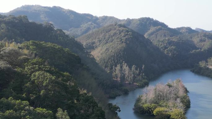 绿水青山森林河道