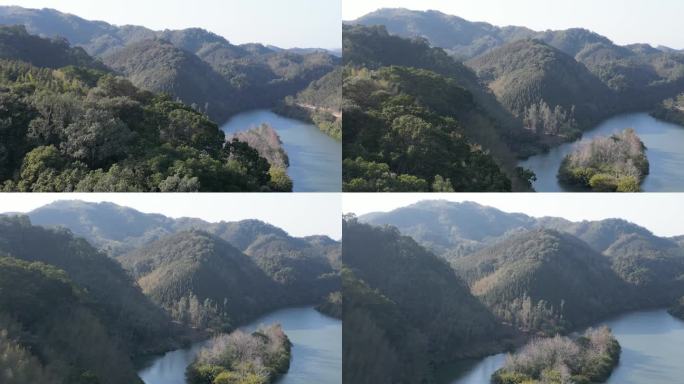 绿水青山森林河道