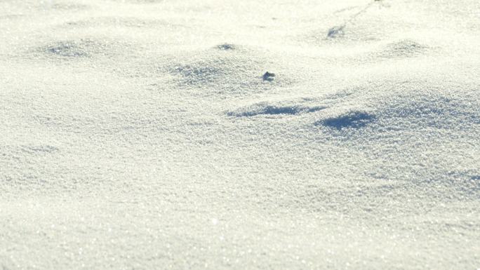 洁白的雪地