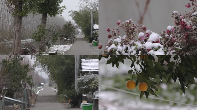 洞庭湖区农村冬日雪景风光