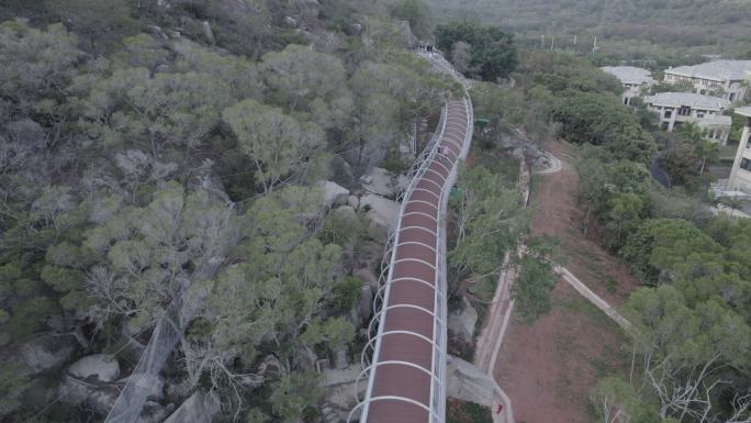 厦门 山海 健康步道 林海线 环形步道