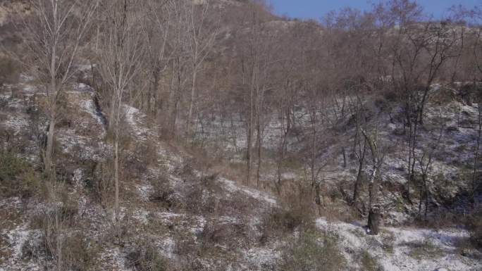 平凡的世界冬天雪景农村玉米地陕北沟壑