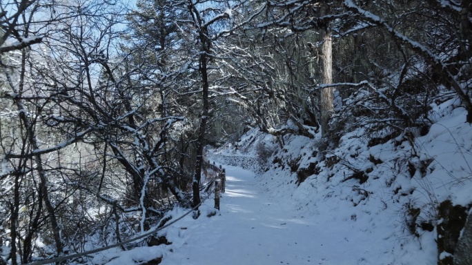 冬季毕棚沟美景积雪林间小路