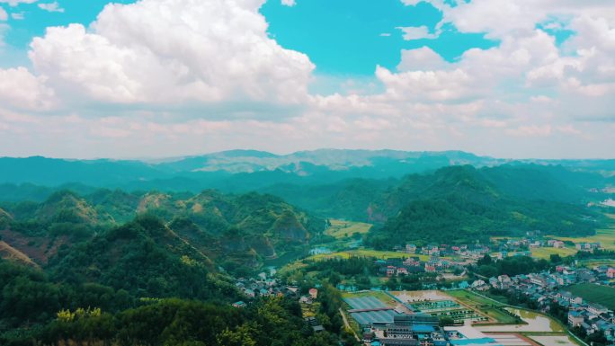 青山绿水稻花香乡村振兴