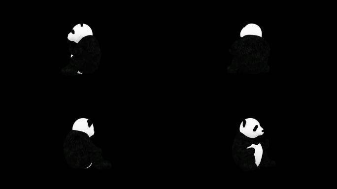 国宝大熊猫3d带通道模型动画