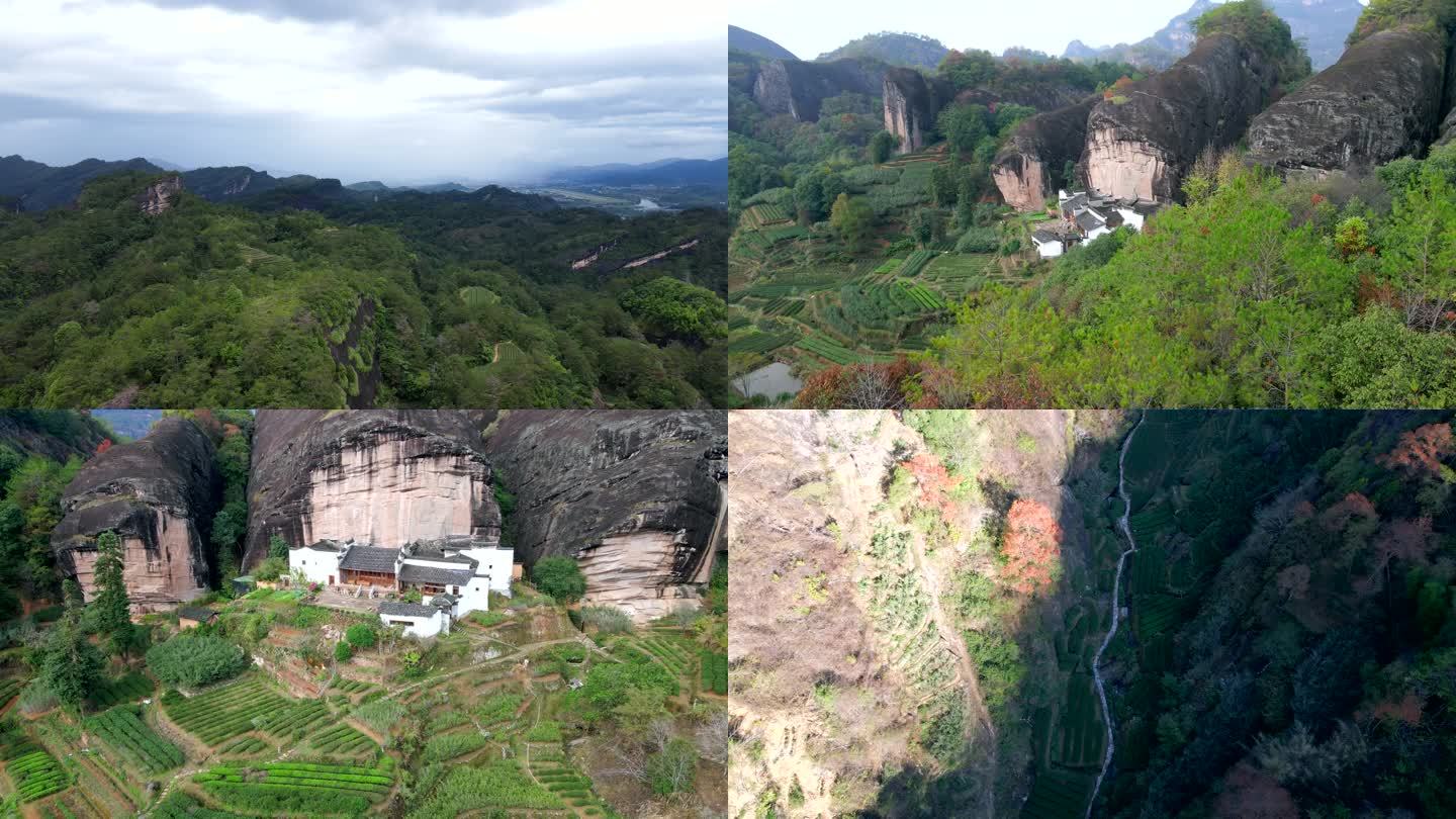 武夷山景区正岩核心山场航拍岩茶乌龙茶