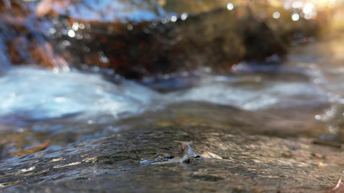 泉水叮咚溪流山谷